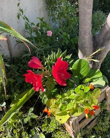 度假居 French Riviera