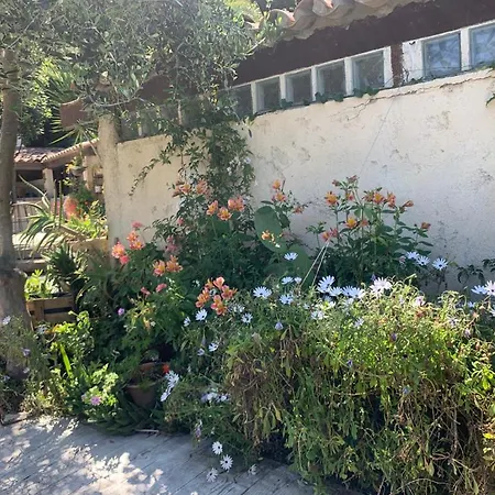 度假居 French Riviera